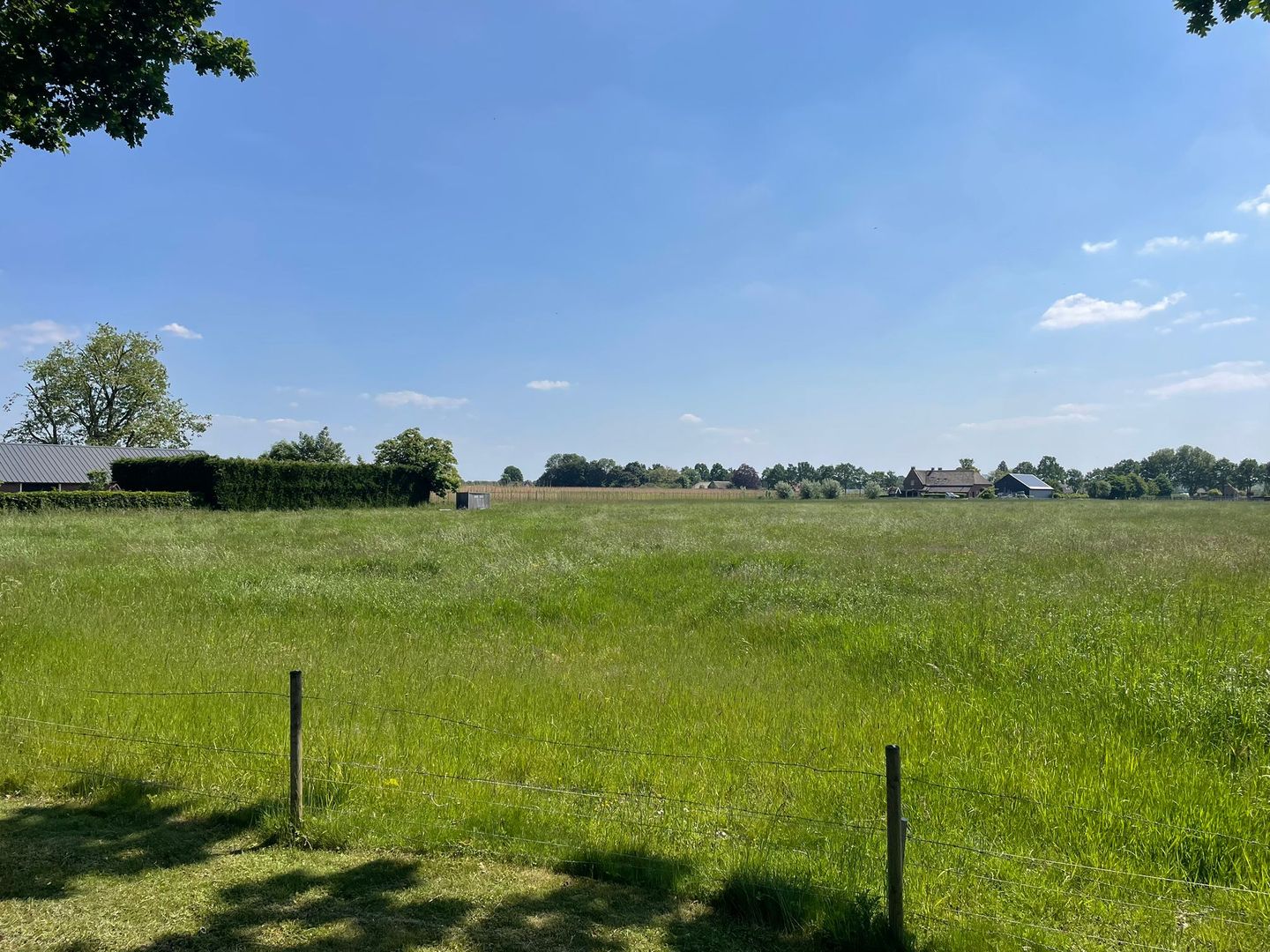 Bekijk foto 3 van Welysestraat
