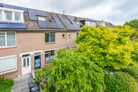 Dopheidestraat thumbnail