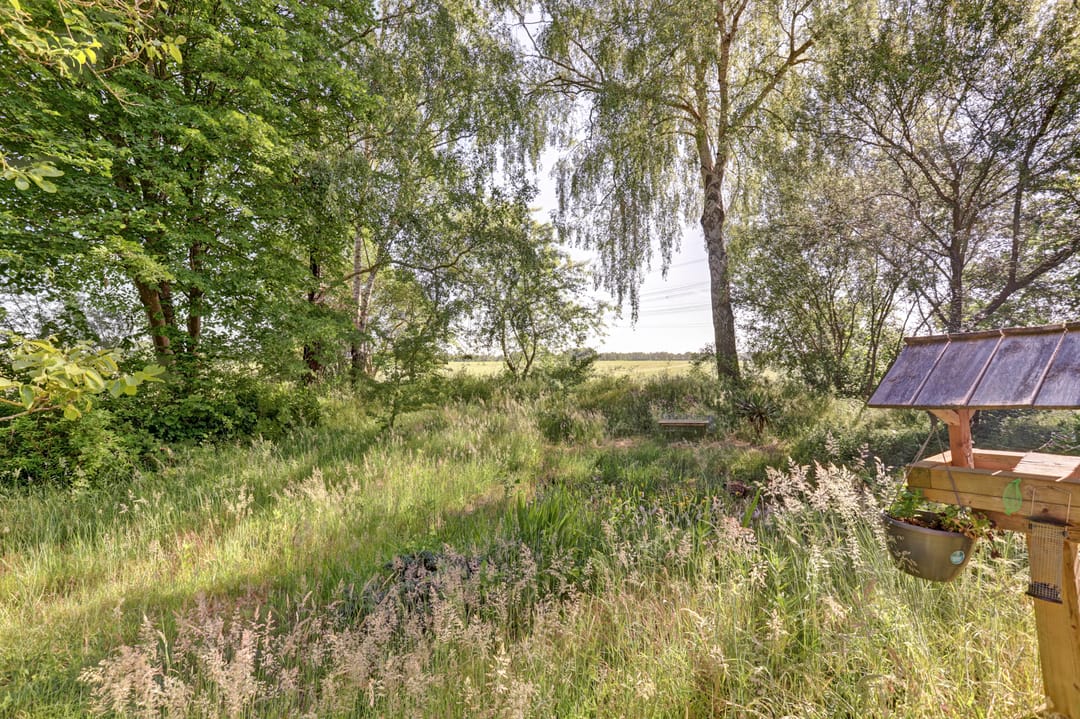 Foto 47 van Hooiweg 19