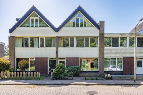 Van Cranenborchstraat thumbnail