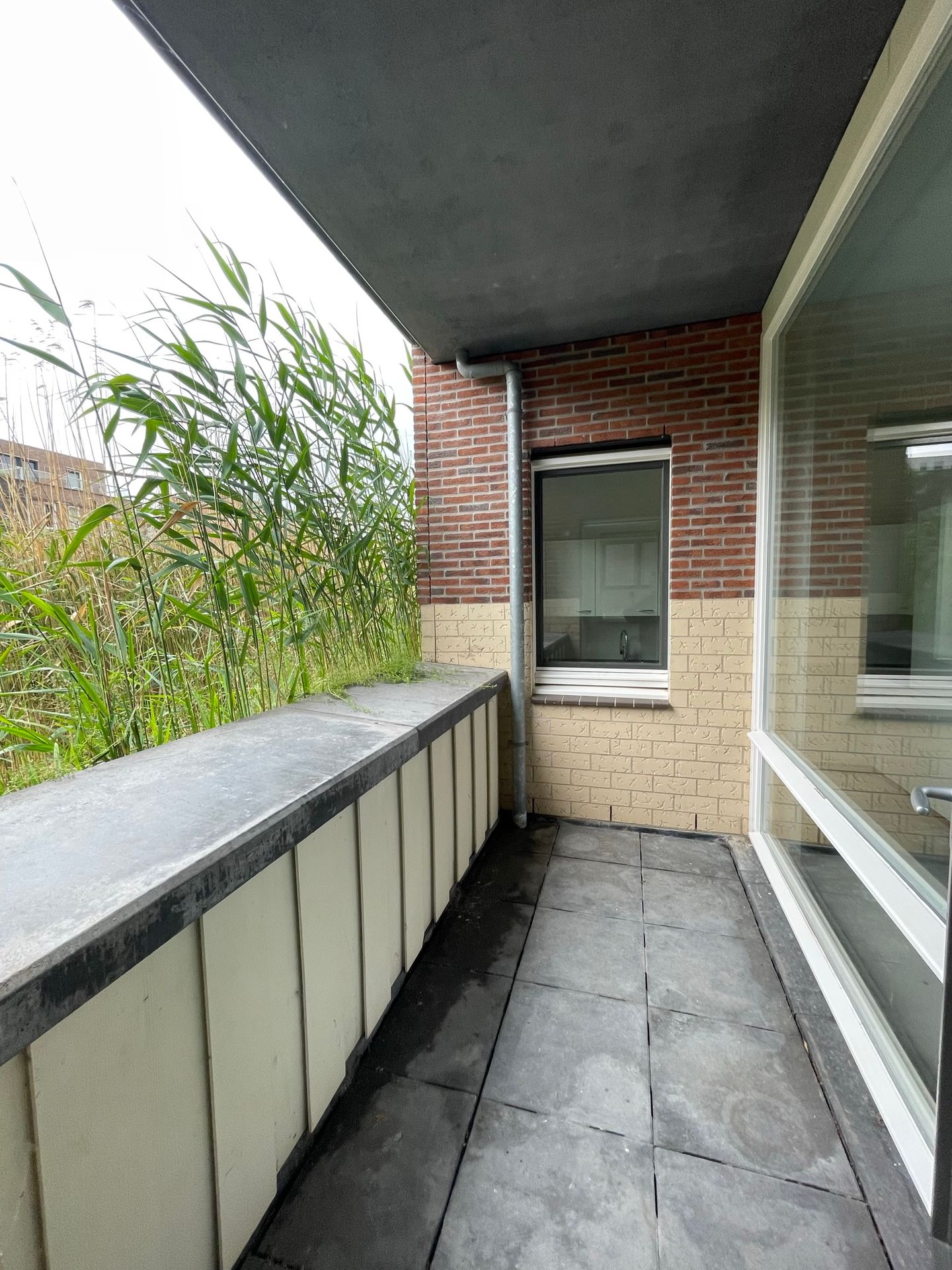 Foto 4 van Eva Besnyöstraat 298