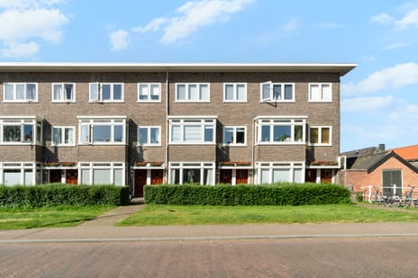 Oostplantsoen thumbnail