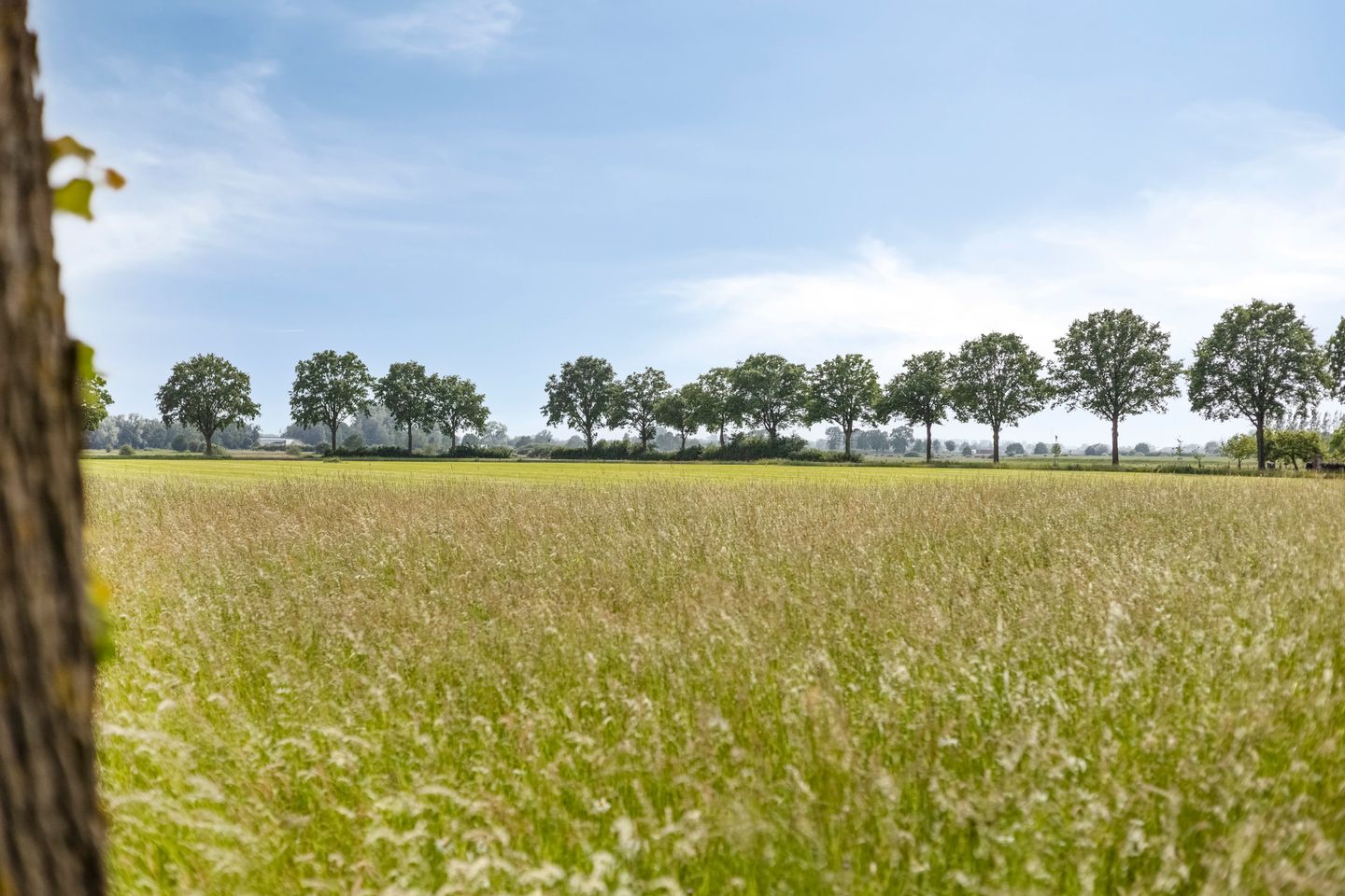 Modern Detached Home with Green Surroundings in Megchelen — 34
