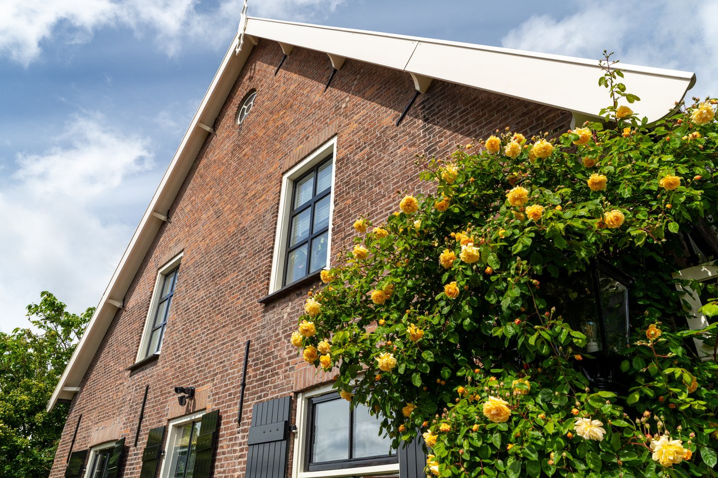 Photo 5 of Brugdam 13-A
