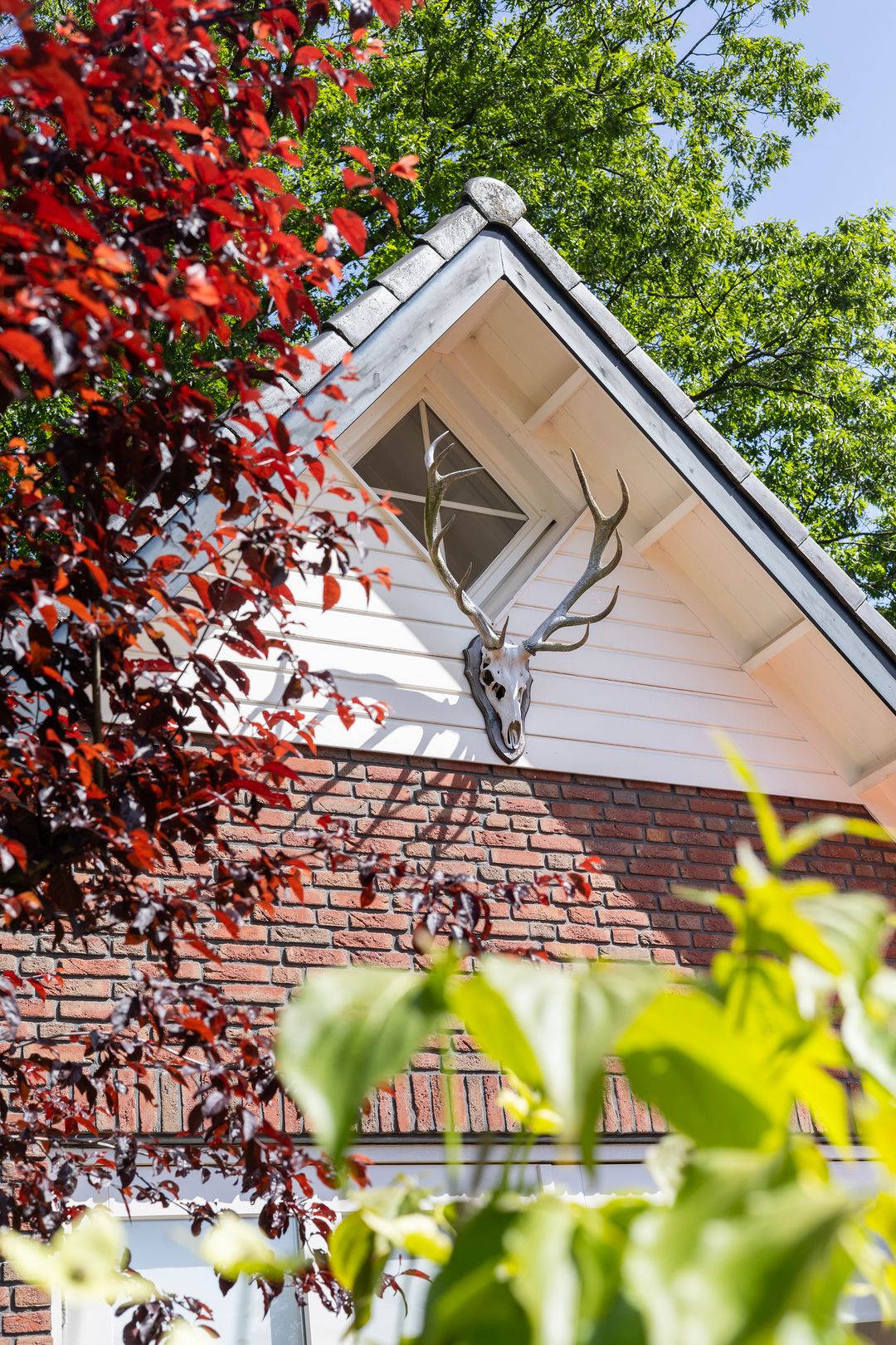 Detached Villa with 2 Hectares of Land Adjacent to Kroondomein Het Loo — 7