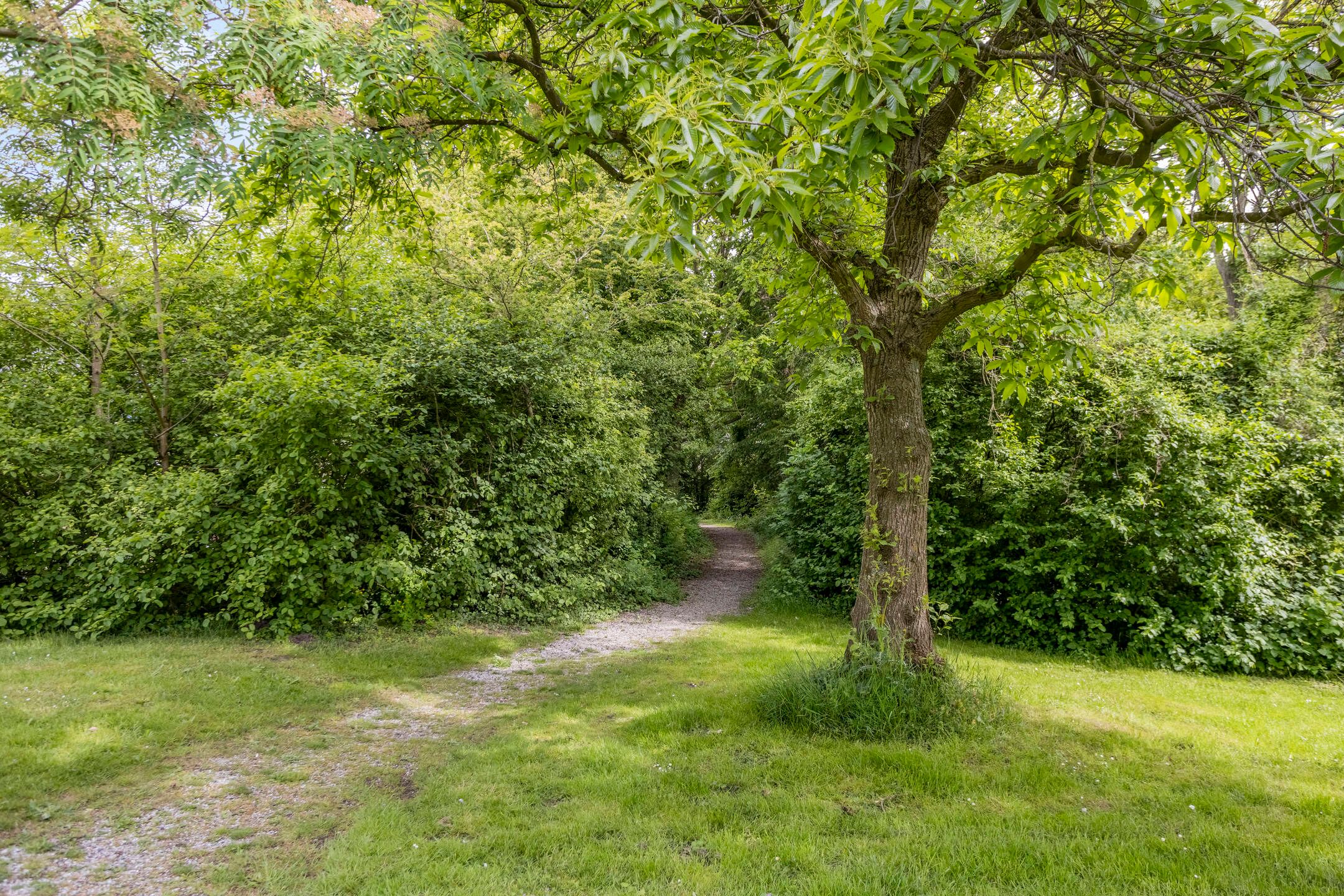 Photo 33 of Borgerdiep 32