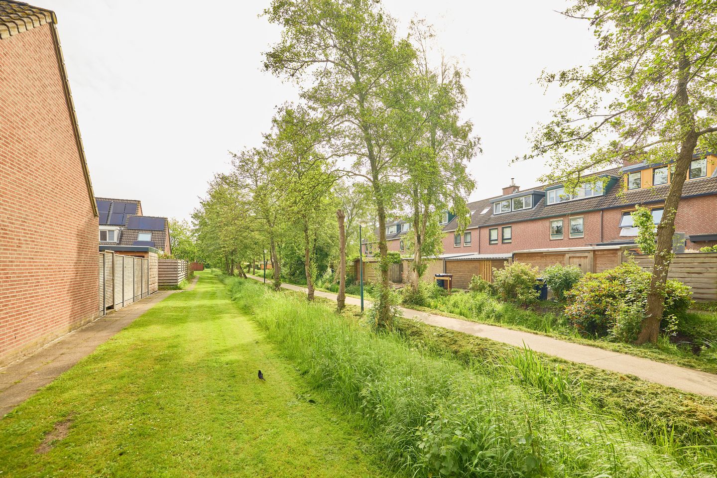Foto 44 van Goudwesp 5