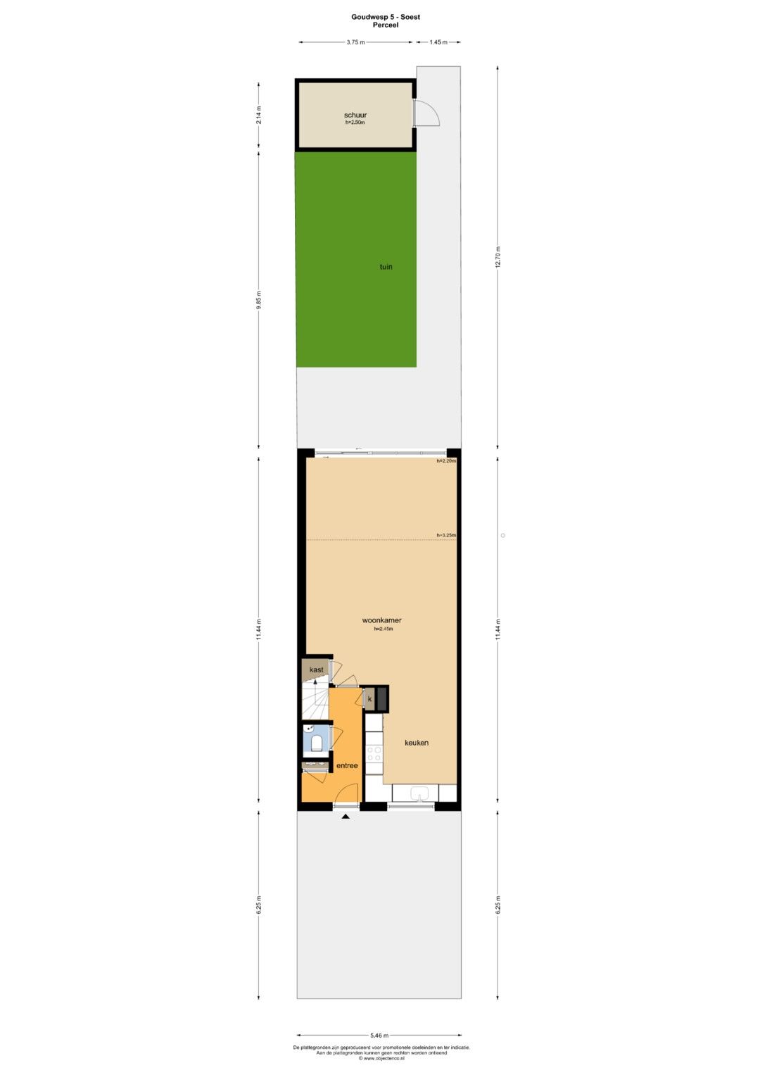 Foto 52 van Goudwesp 5