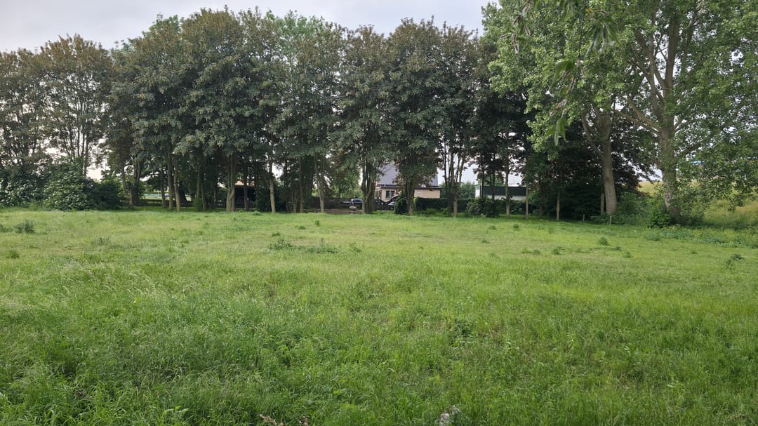 Foto 7 van Nieuwe Gouwe O.Z. 98