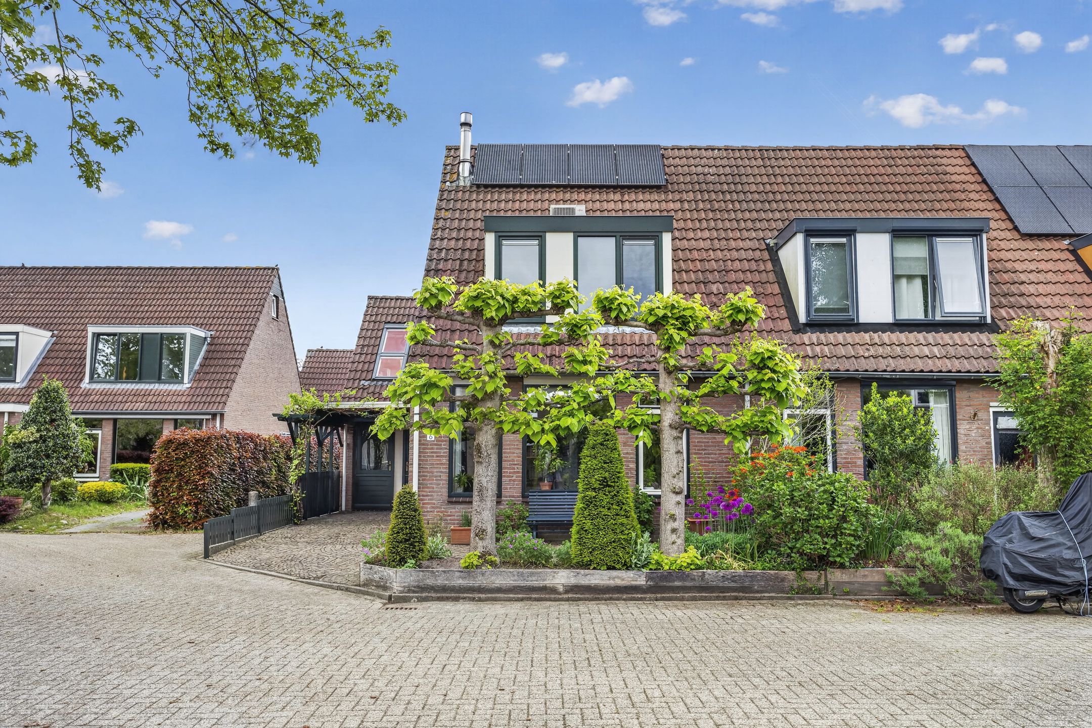 Nagelserf 6 