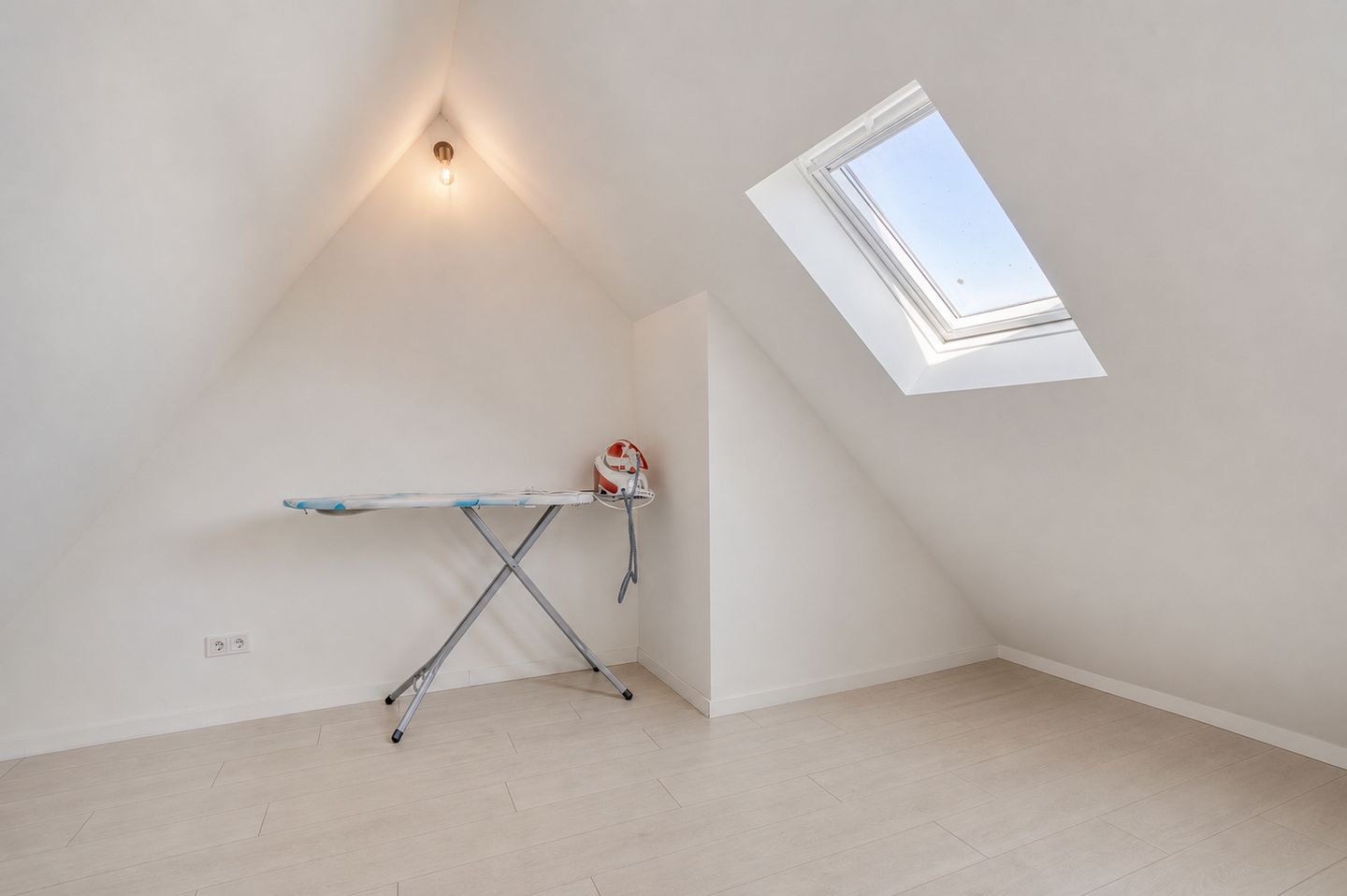 Photo 29 of Pater Lemmensstraat 13