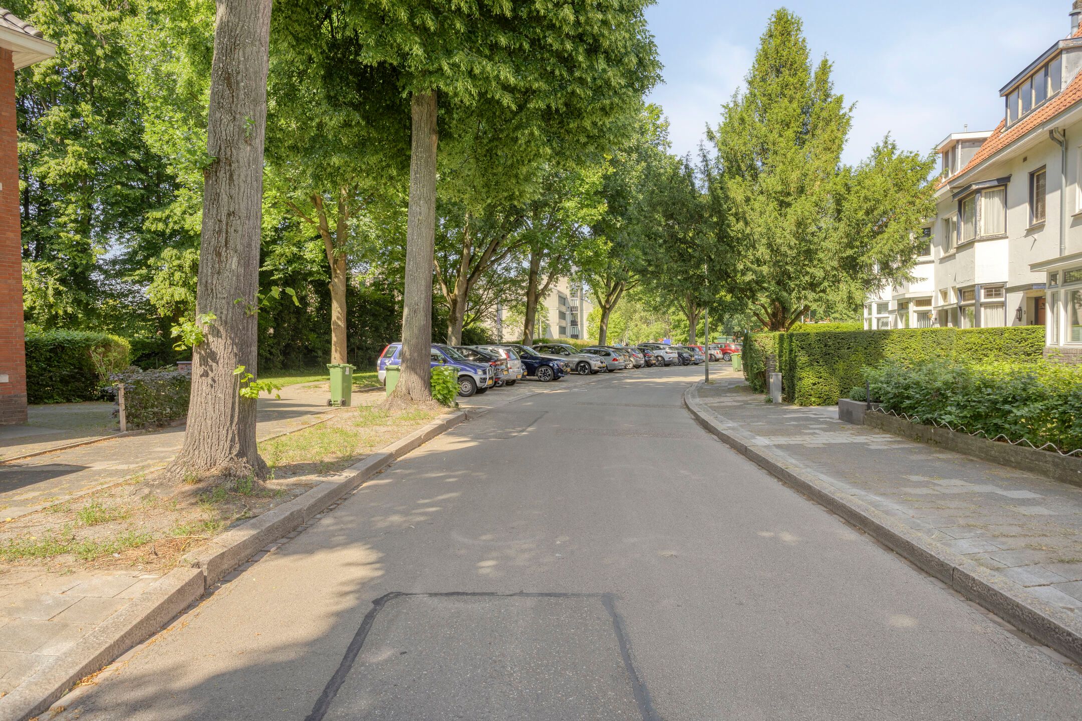 Photo 42 of Pater Lemmensstraat 13