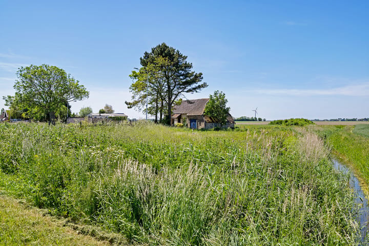 Photo 2 of Arjen Roelswei 51