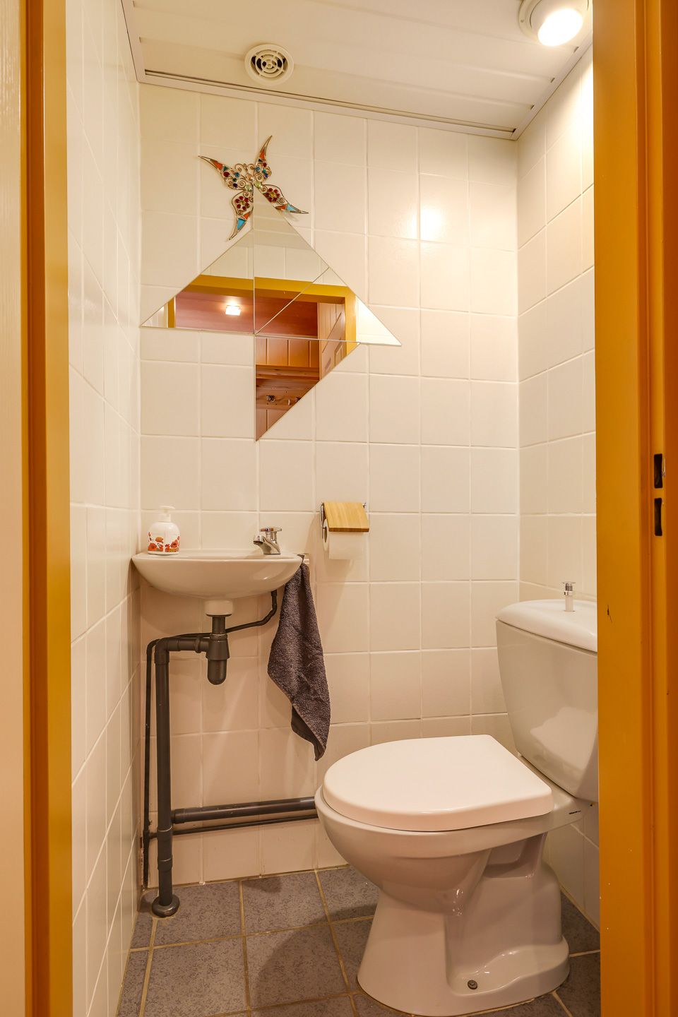 Photo 10 of Lemoen 9