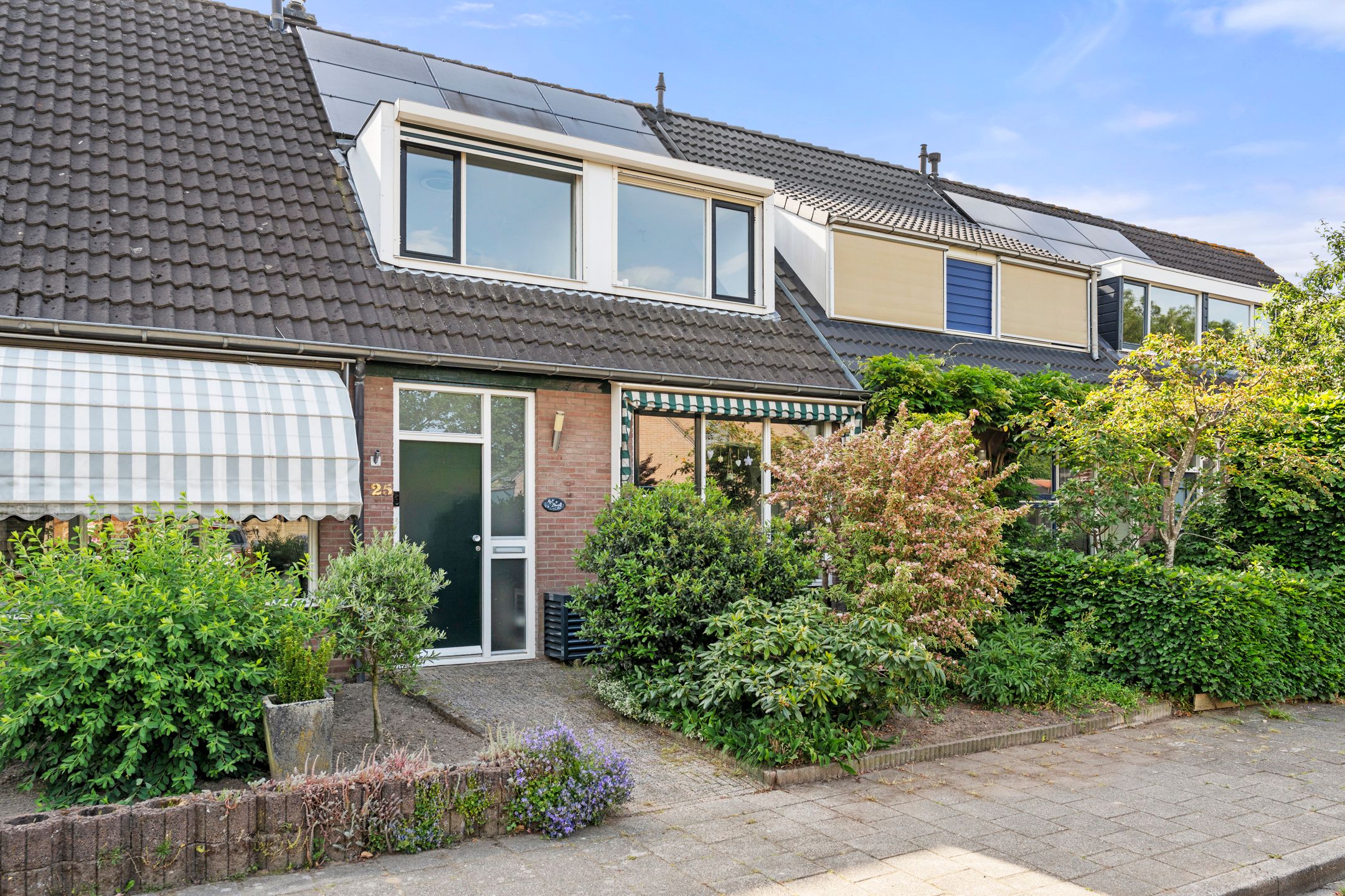 Boterbloem 25 