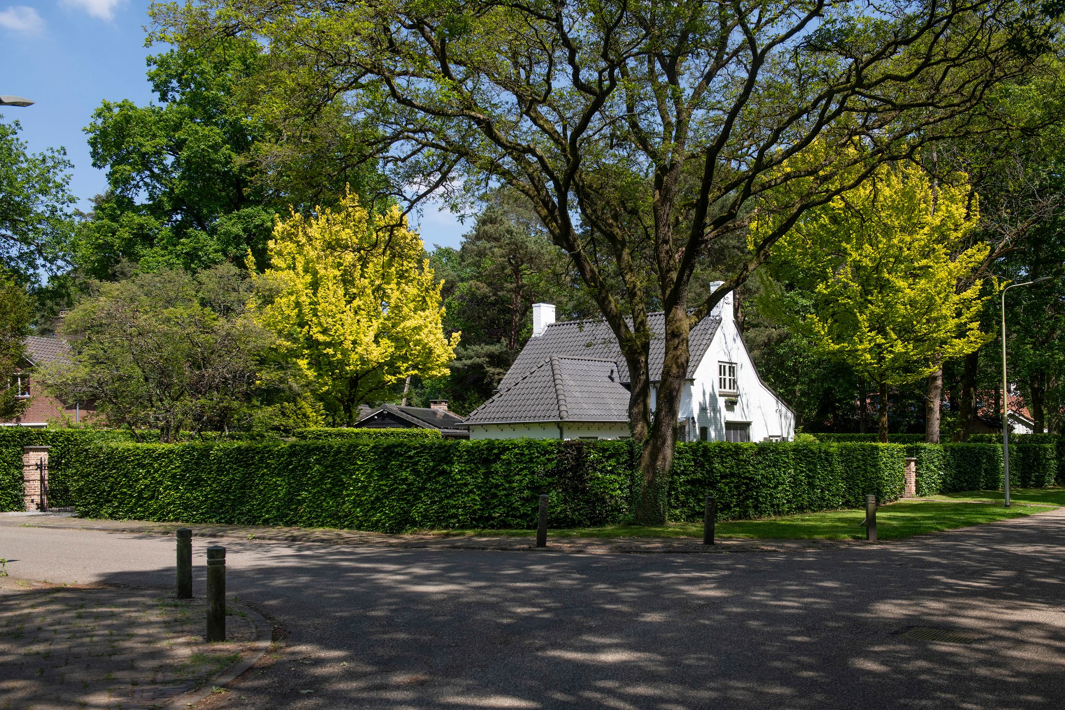 Photo 48 of Balijeweg 9