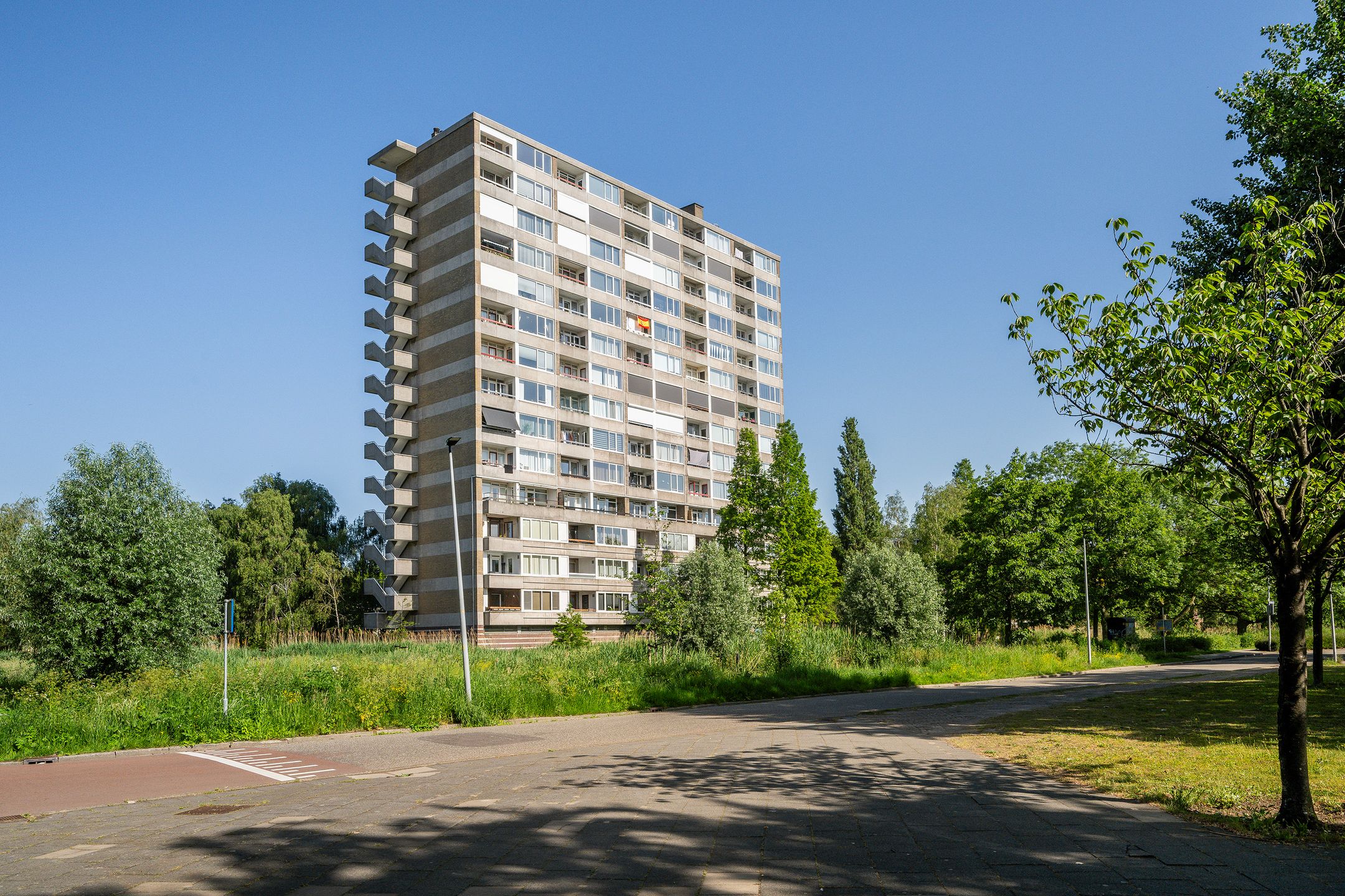 Coornhertstraat 159 