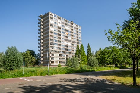 Coornhertstraat thumbnail