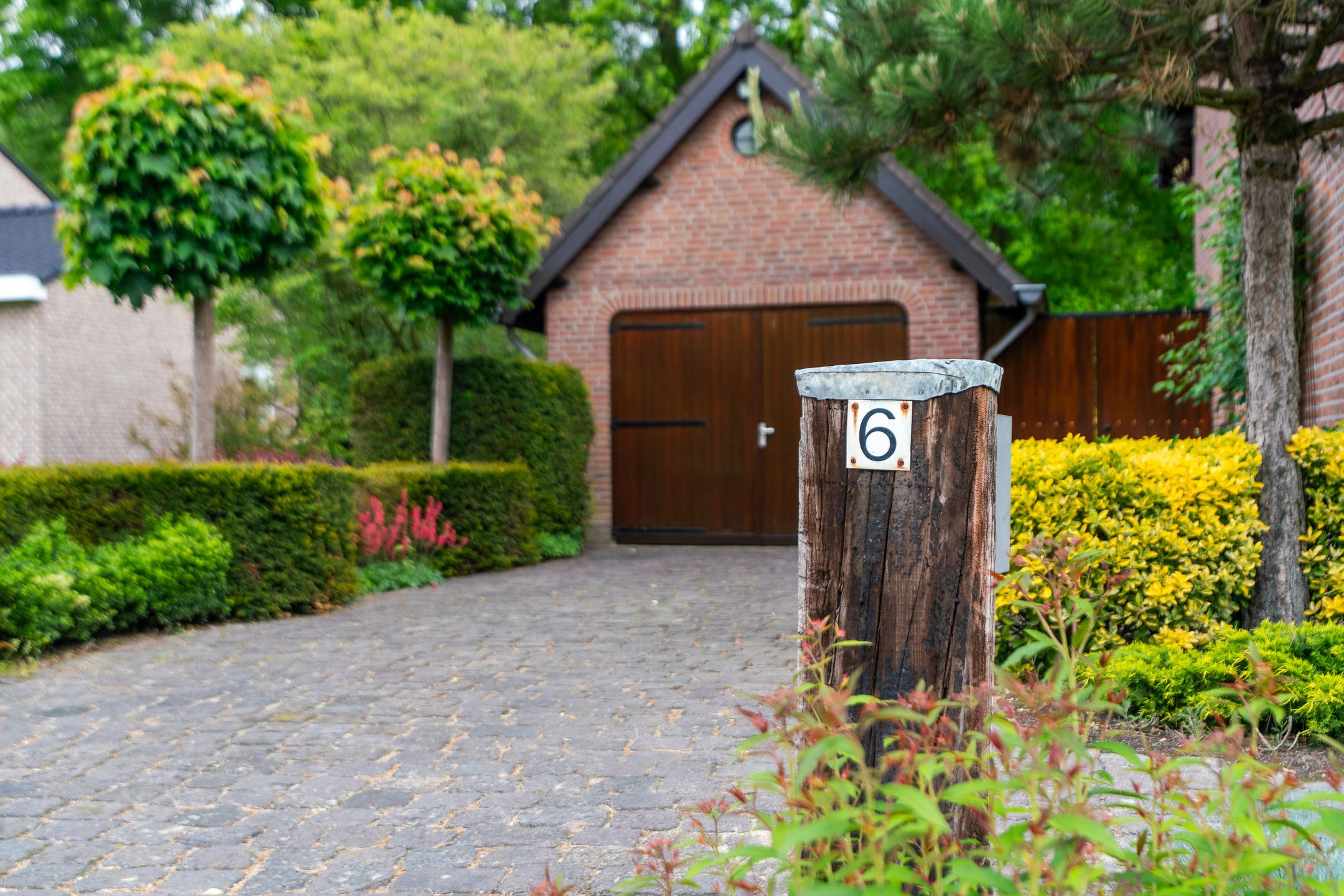 Photo 72 of Rozemarijnhof 6