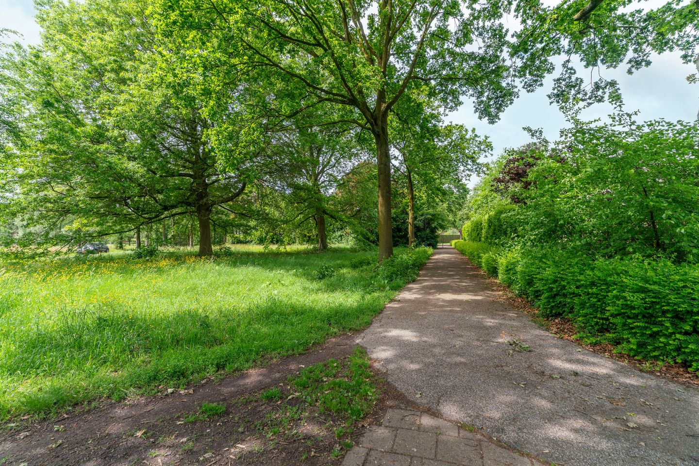 Photo 79 of Rozemarijnhof 6