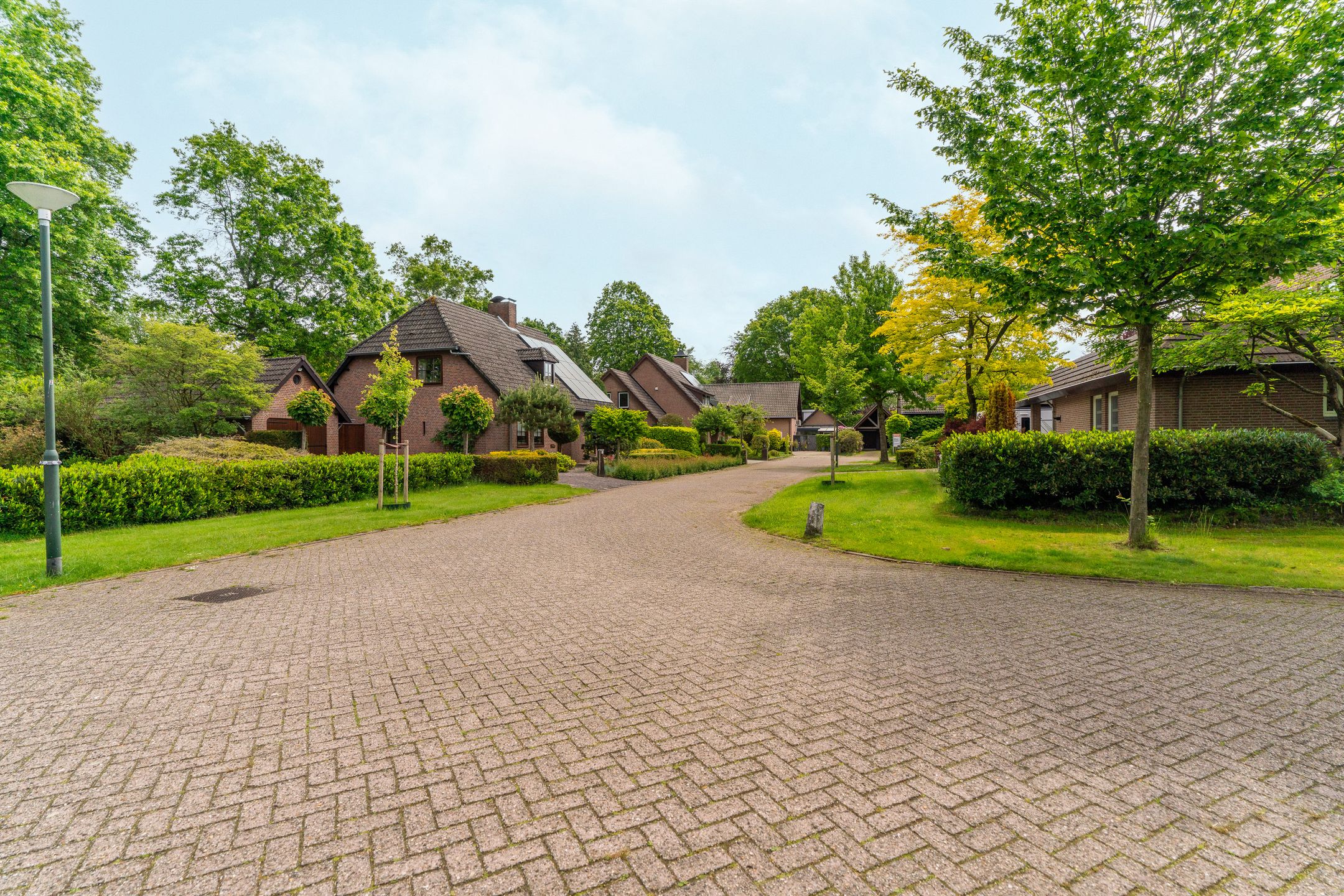 Photo 78 of Rozemarijnhof 6