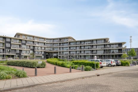 Eikenhout thumbnail