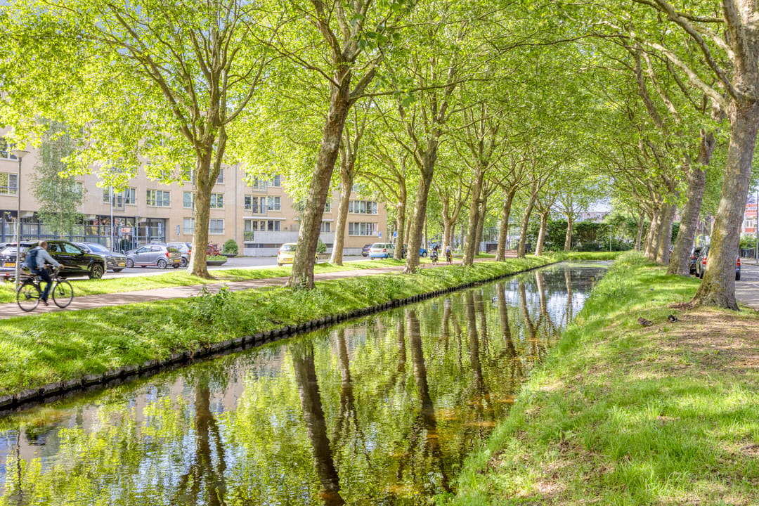 Foto 41 van Carry van Bruggensingel 80
