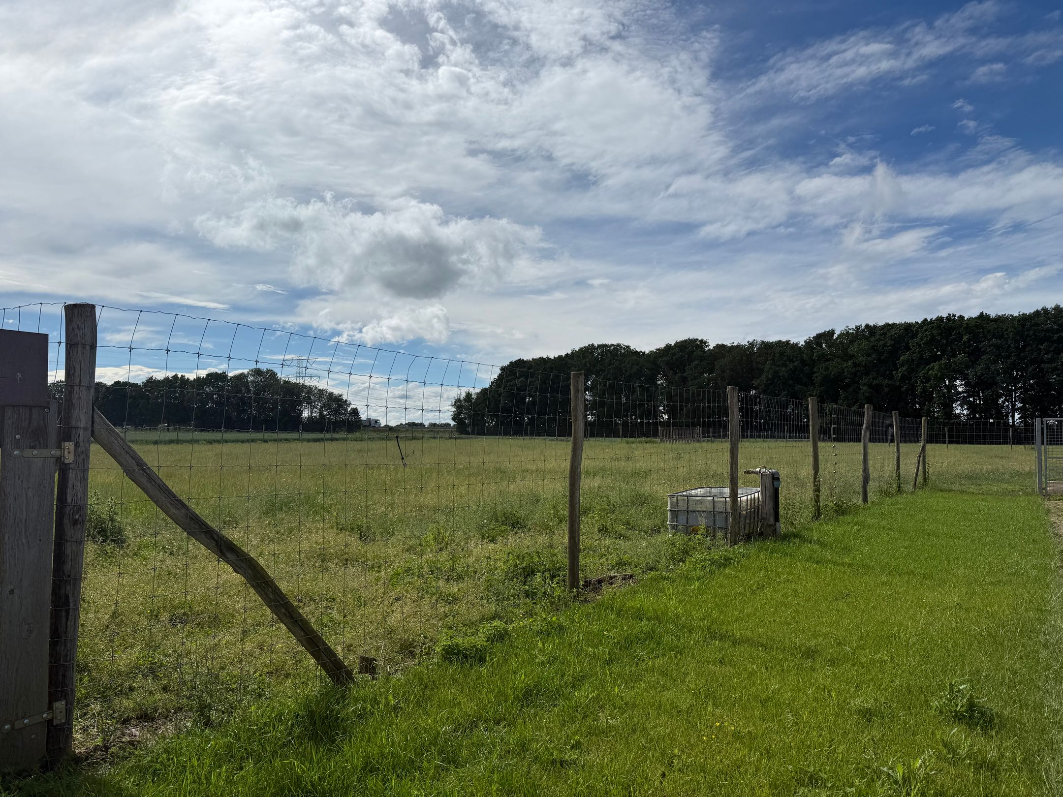 Photo 39 of Rothweg 16