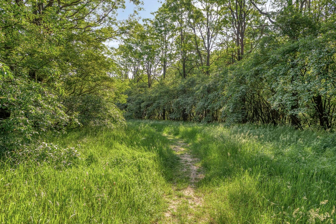 Foto 41 van Luikerweg 167