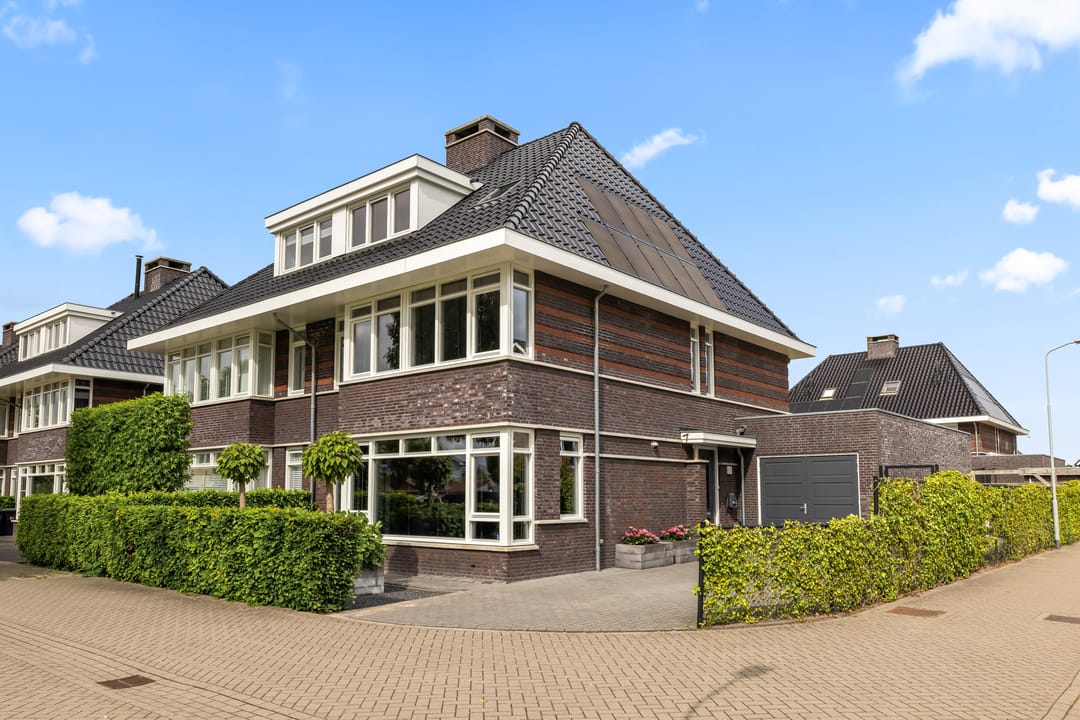 Foto 1 van Grote Vuurvlinder 3