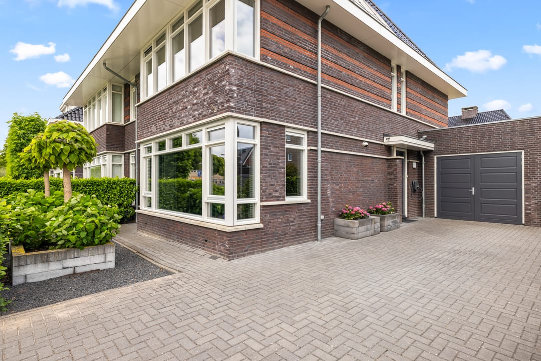 Foto 52 van Grote Vuurvlinder 3