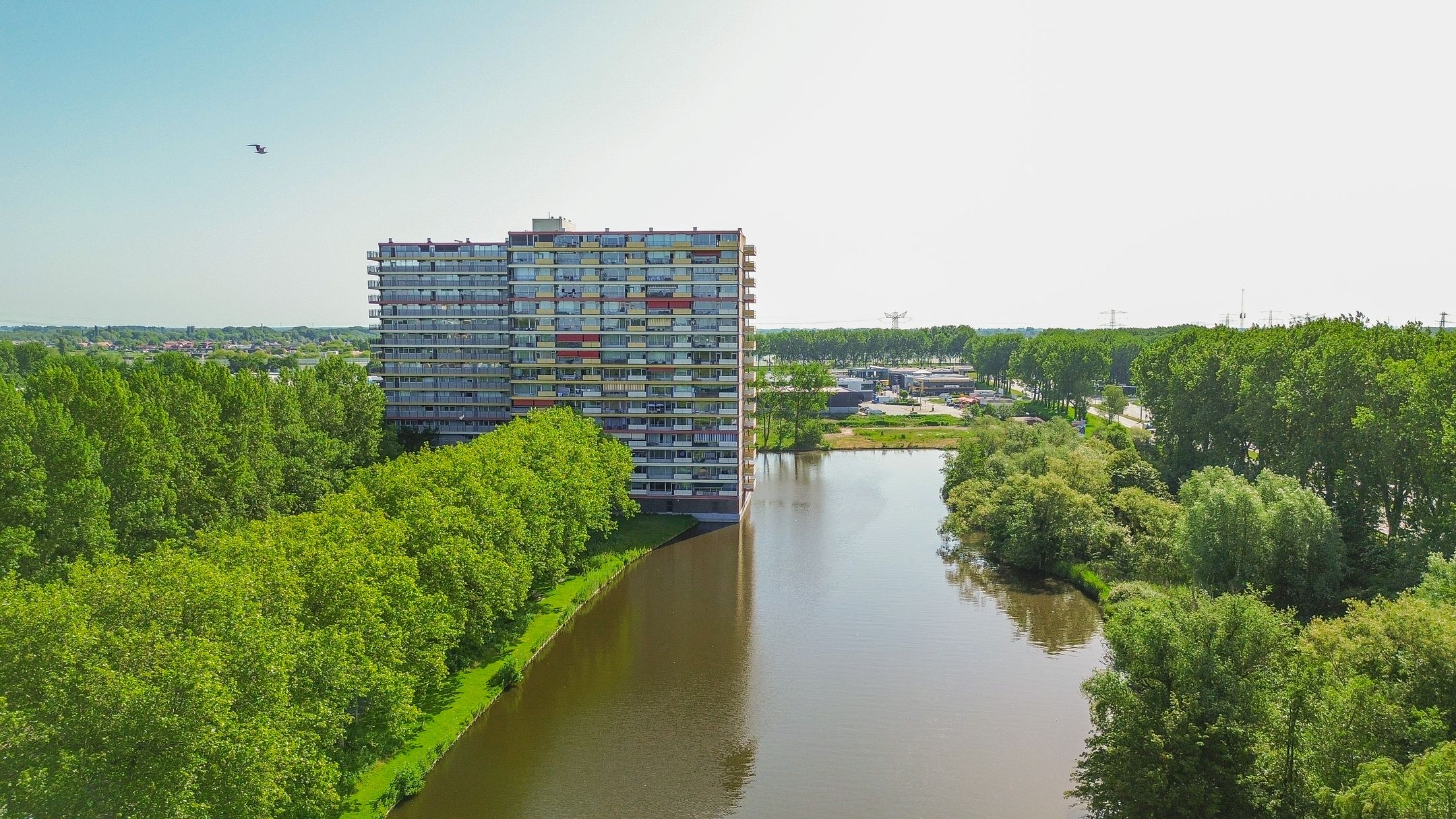 Oost-Dorsch 89 
