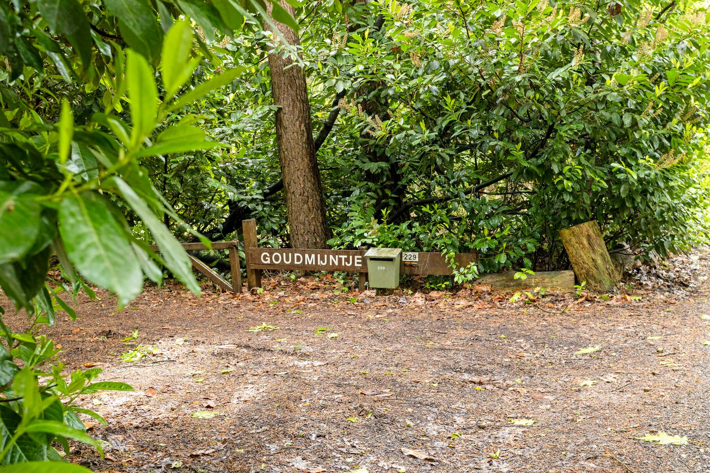 Photo 29 of Vianenweg 229