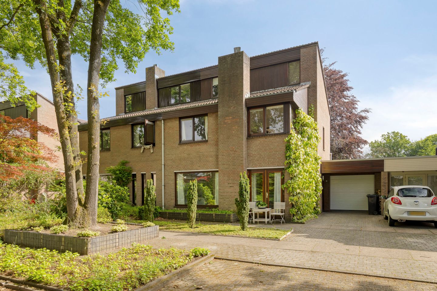 Foto 1 van Steltlopen 3