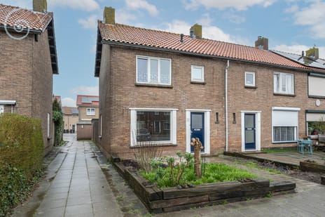 Esdoornstraat thumbnail