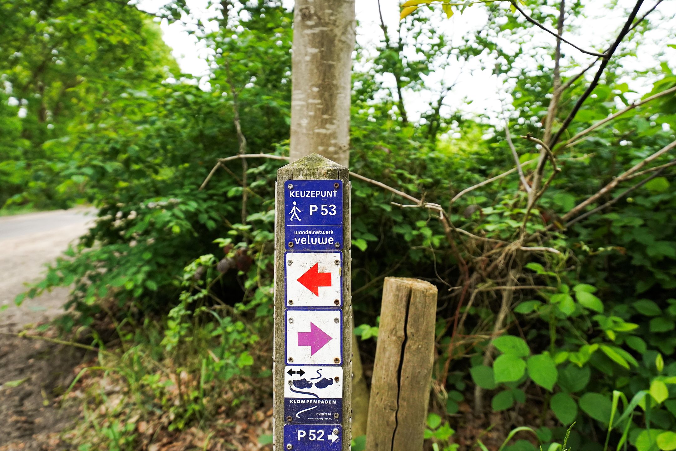Foto 57 van Oude Nijkerkerweg 2