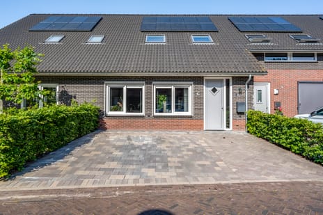 Koningsspil thumbnail