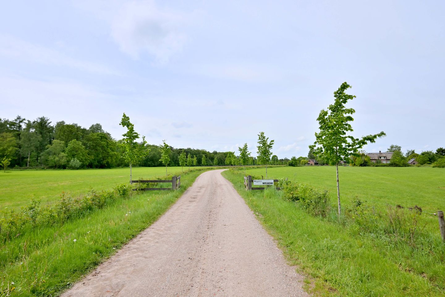 Foto 19 van Oerdijk