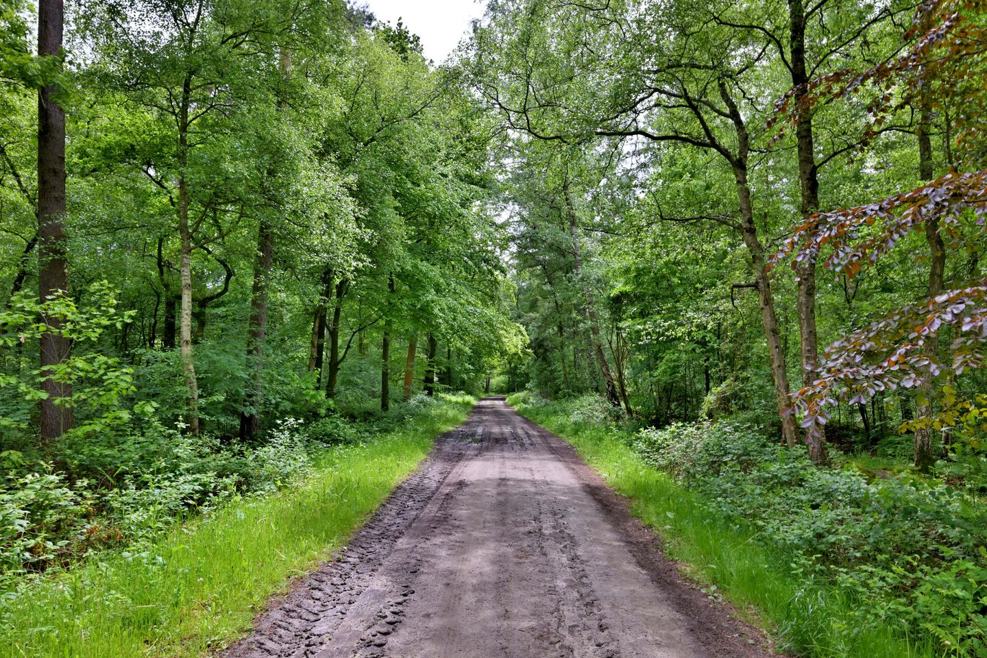 Foto 20 van Oerdijk