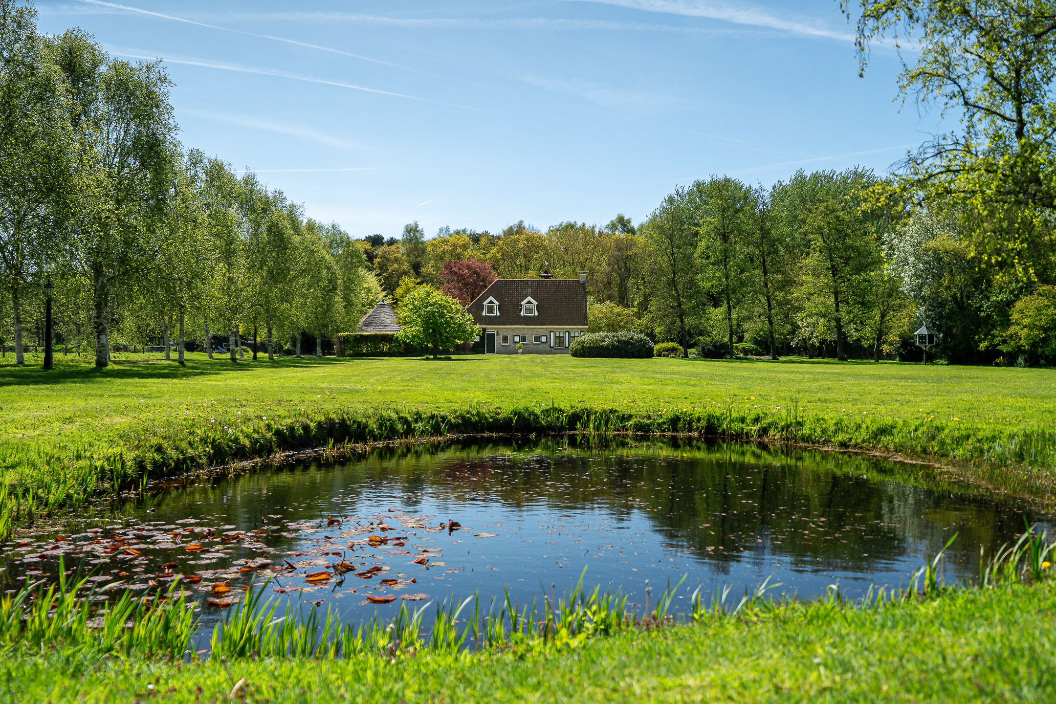 Beukenlaan 8 