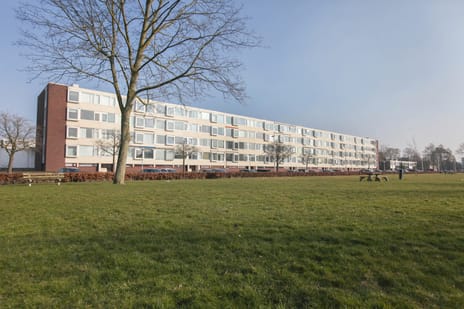 Rooseveltlaan thumbnail