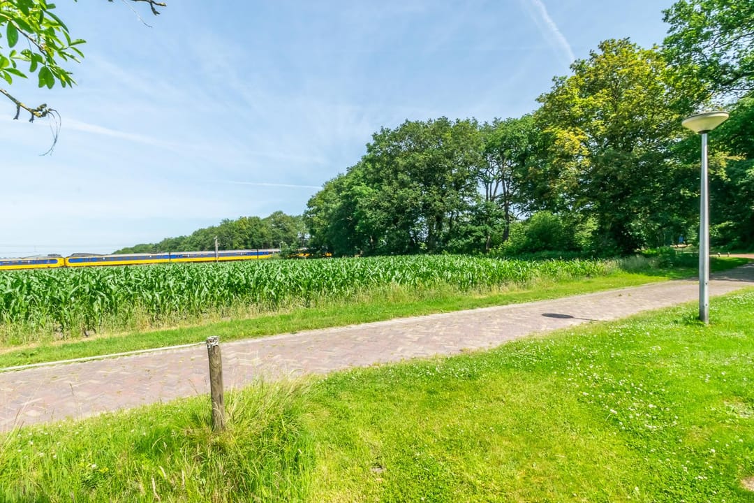 Photo 38 of Ruinerweg 3