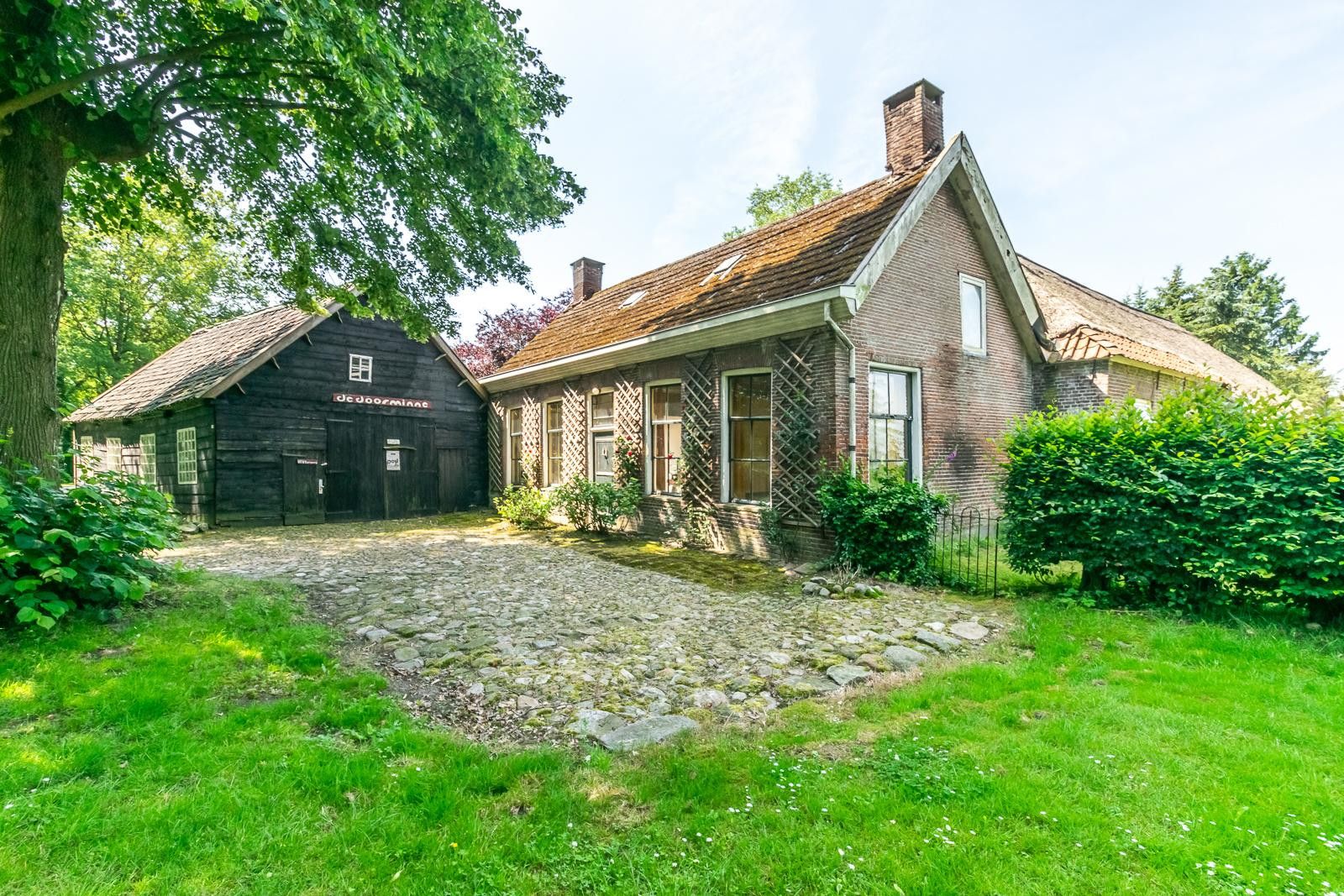 Photo 42 of Ruinerweg 3