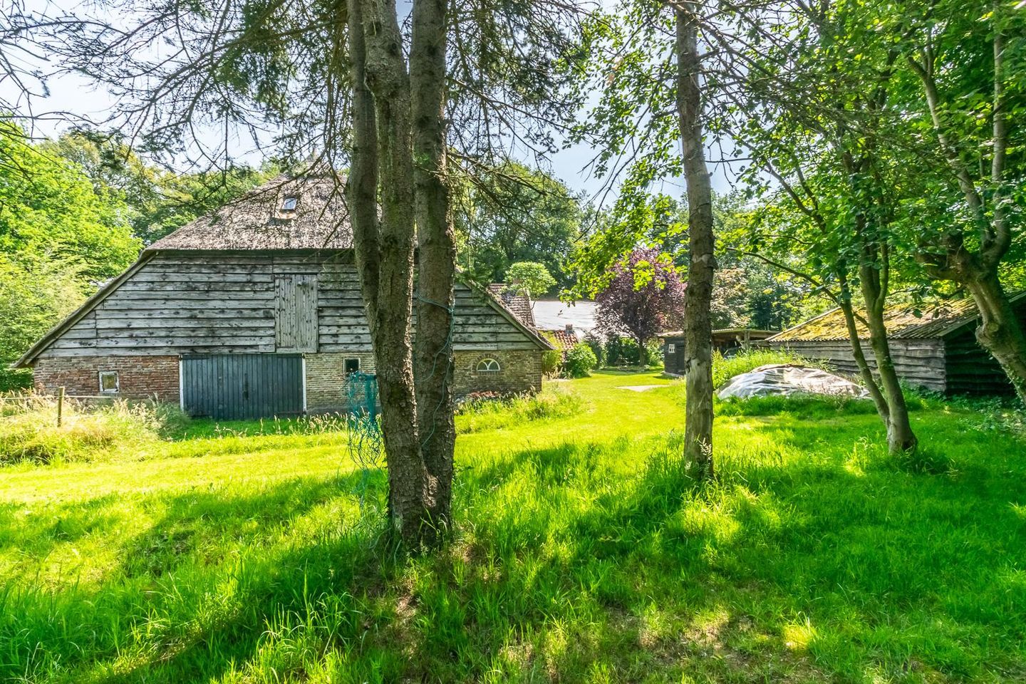 Photo 34 of Ruinerweg 3