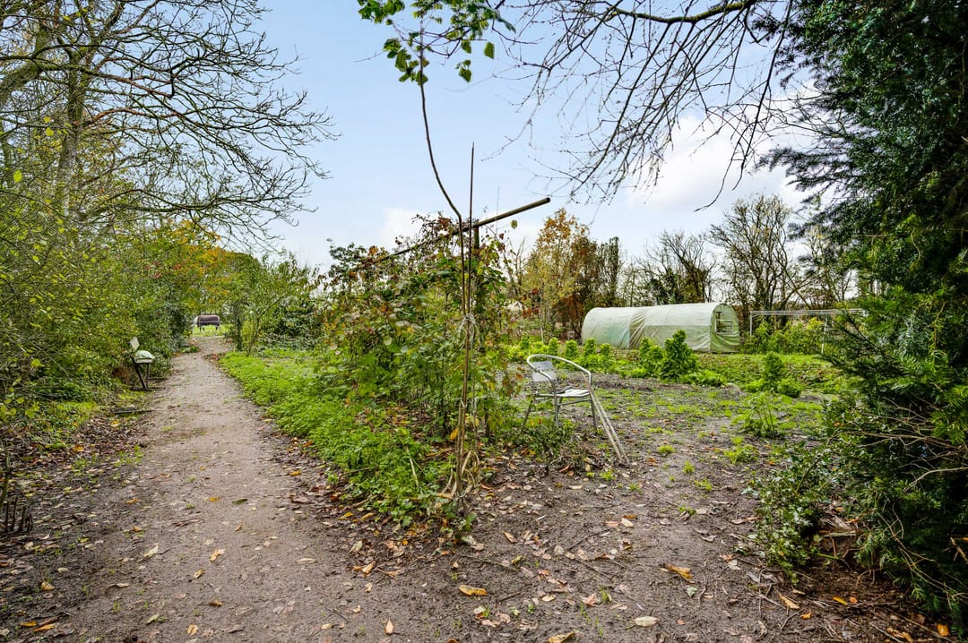 Photo 17 of Heezerenbosch 8
