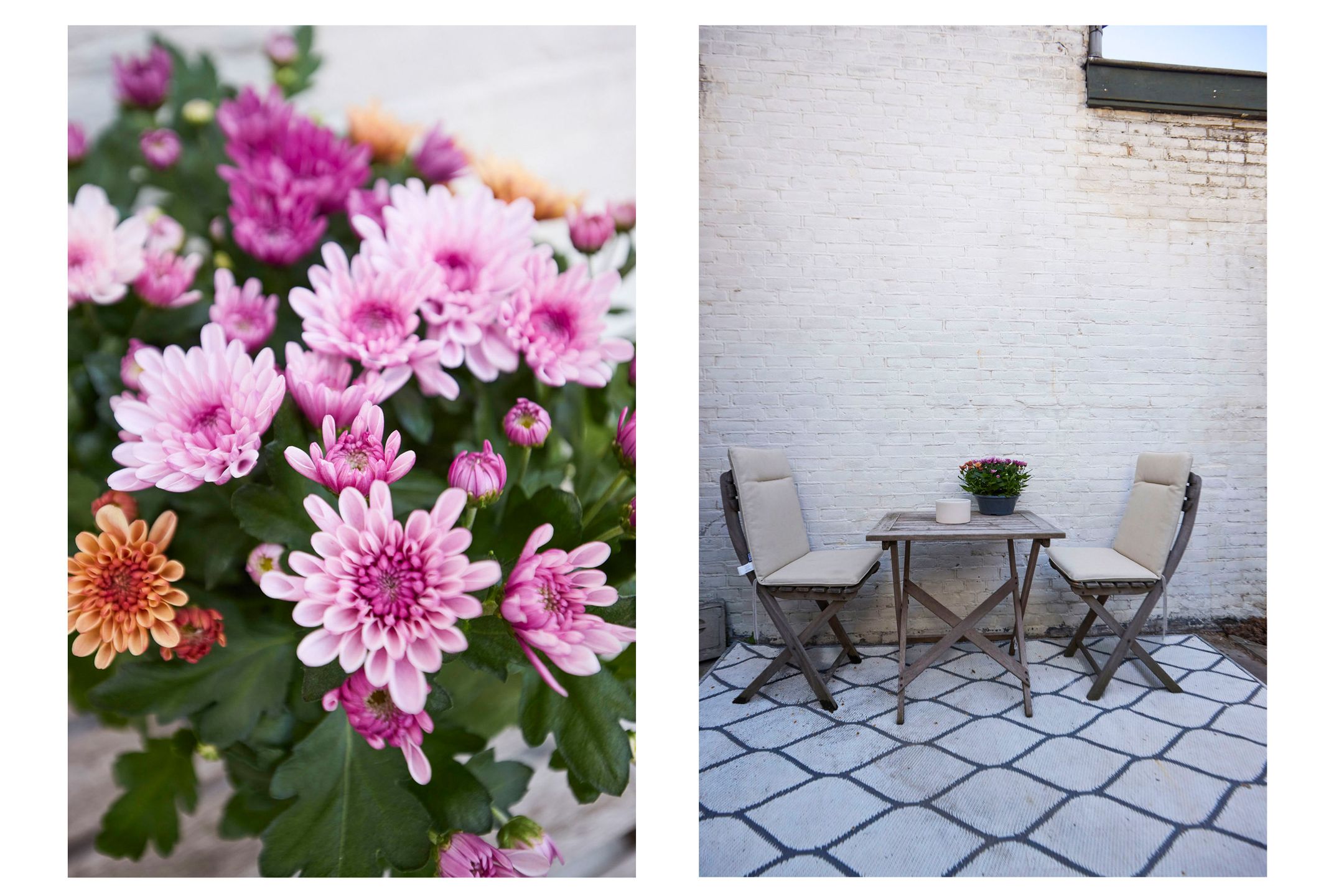 Photo 51 of Frans Naereboutstraat 18