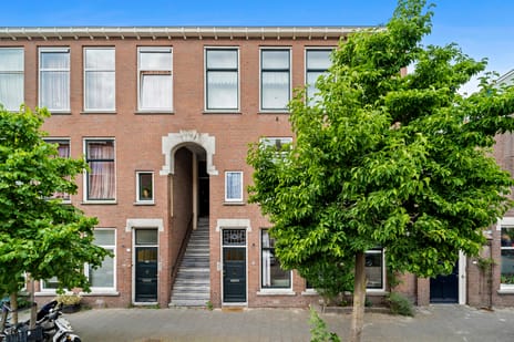 Halleystraat thumbnail