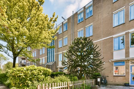 Schelluinenstraat thumbnail