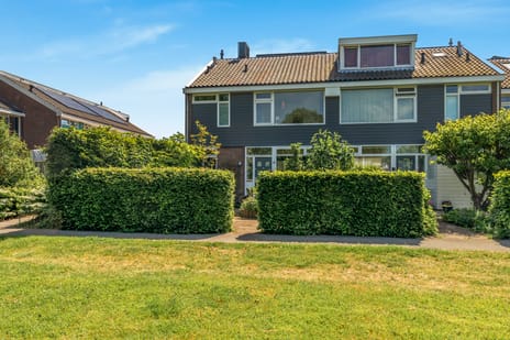 Paltrokstraat thumbnail