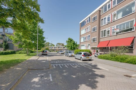Plotinusstraat thumbnail